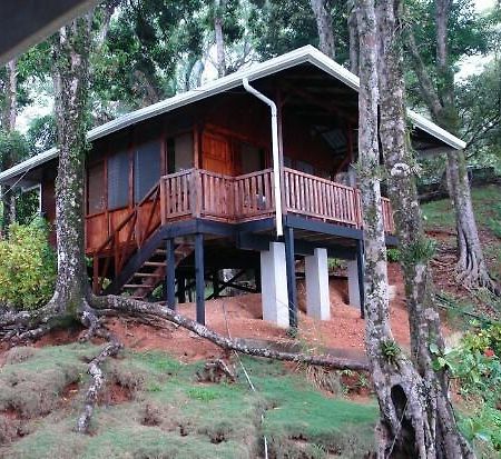 Cabinas La Parcela Vila Dominical Exterior foto