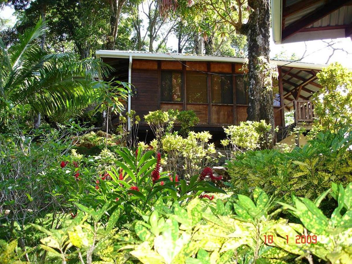 Cabinas La Parcela Vila Dominical Exterior foto
