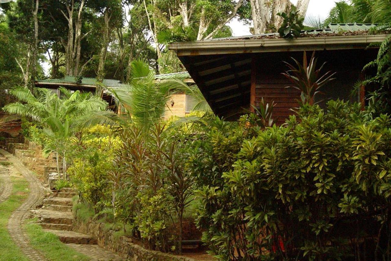 Cabinas La Parcela Vila Dominical Exterior foto